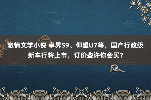 激情文学小说 享界S9、仰望U7等，国产行政级新车行将上市，订价些许你会买？