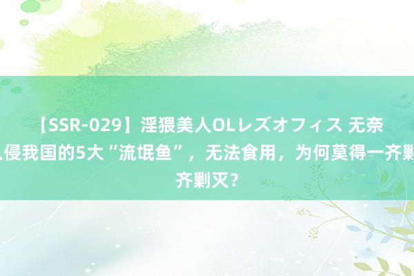【SSR-029】淫猥美人OLレズオフィス 无奈！入侵我国的5大“流氓鱼”，无法食用，为何莫得一齐剿灭？