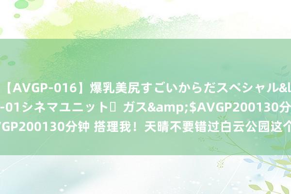 【AVGP-016】爆乳美尻すごいからだスペシャル</a>2007-12-01シネマユニット・ガス&$AVGP200130分钟 搭理我!天晴不要错过白云公园这个绝好意思日落