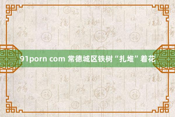 91porn com 常德城区铁树“扎堆”着花