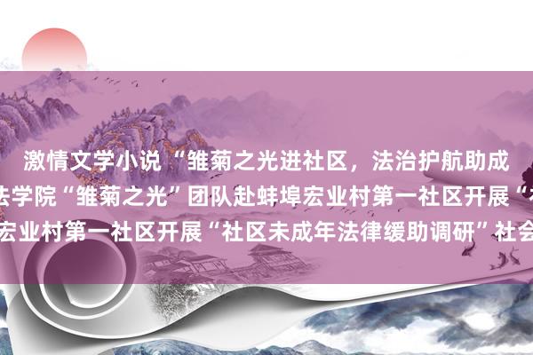 激情文学小说 “雏菊之光进社区，法治护航助成长”——安徽财经大学法学院“雏菊之光”团队赴蚌埠宏业村第一社区开展“社区未成年法律缓助调研”社会实行