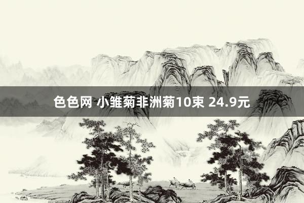 色色网 小雏菊非洲菊10束 24.9元