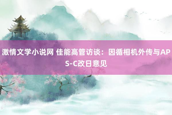 激情文学小说网 佳能高管访谈：因循相机外传与APS-C改日意见