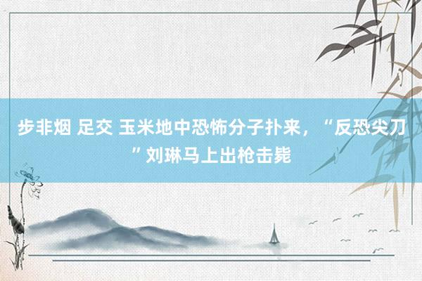 步非烟 足交 玉米地中恐怖分子扑来，“反恐尖刀”刘琳马上出枪击毙