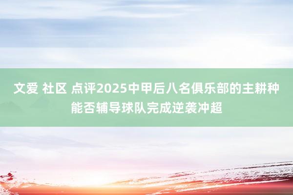 文爱 社区 点评2025中甲后八名俱乐部的主耕种能否辅导球队完成逆袭冲超