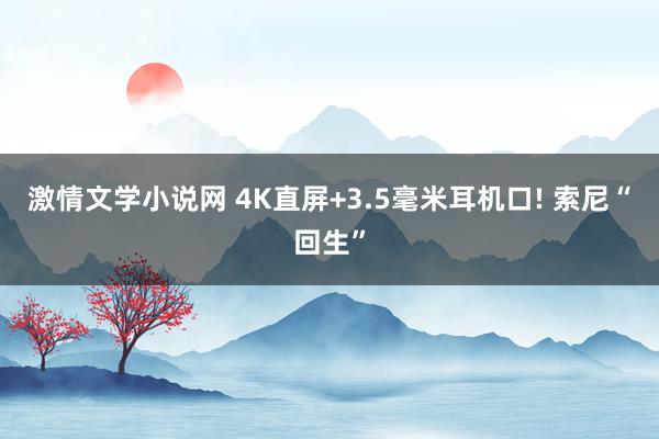 激情文学小说网 4K直屏+3.5毫米耳机口! 索尼“回生”